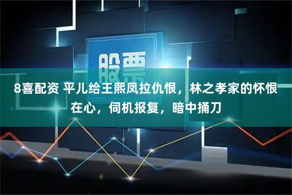 8喜配资 平儿给王熙凤拉仇恨，林之孝家的怀恨在心，伺机报复，暗中捅刀