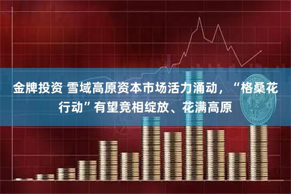 金牌投资 雪域高原资本市场活力涌动，“格桑花行动”有望竞相绽放、花满高原